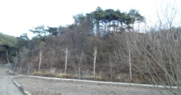 충청남도 서산시 운산면 용장리 OOOOO 임야 경매 물건 이미지