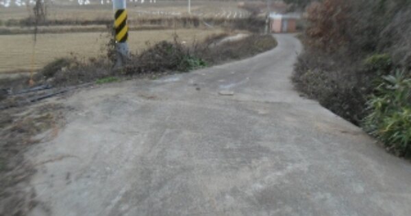 충청남도 태안군 남면 신장리 OOOO O OOO 임야 경매 물건 이미지