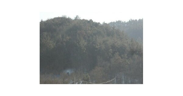 전라남도 고흥군 과역면 노일리 OOOO 임야 경매 물건 이미지