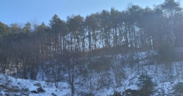 충청북도 진천군 진천읍 교성리 OOOOOO 임야 경매 물건 이미지