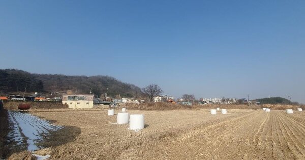 경상북도 상주시 신봉동 OOO O OOO 답 경매 물건 이미지
