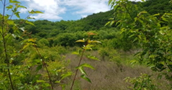 강원도 철원군 갈말읍 동막리 OOO 전 경매 물건 이미지