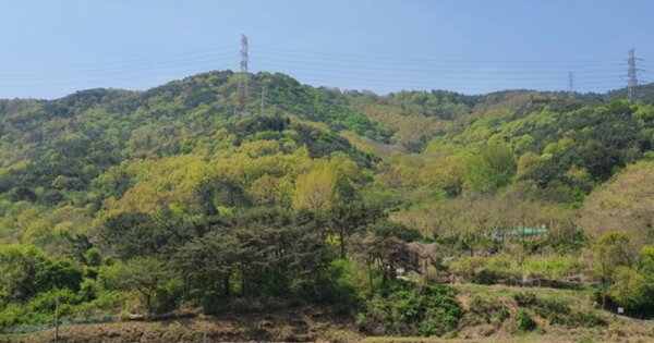 경상남도 창원시 마산합포구 예곡동 OOOOOO O OOO 임야 경매 물건 이미지