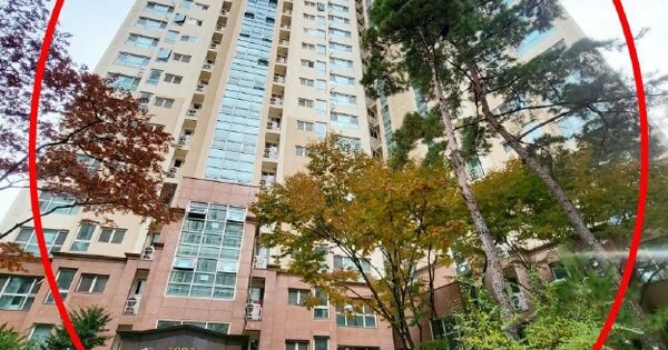 서울 성북구 정릉동 1034, 1002동 OOOOOO OOOOOOOOOOOOOOO 아파트 경매 물건 이미지