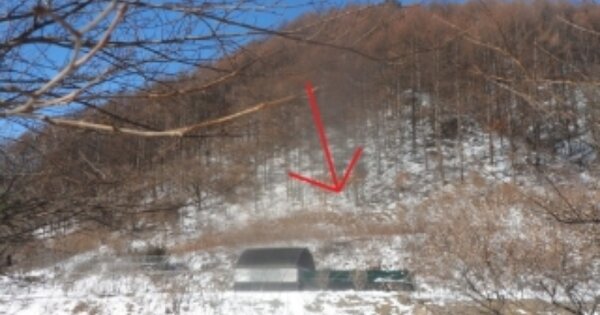 강원도 평창군 방림면 계촌리 OOOO 전 경매 물건 이미지