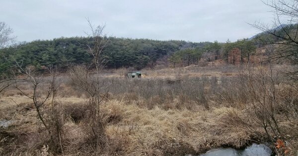 경상북도 군위군 산성면 봉림리 OO O OOO 답 경매 물건 이미지