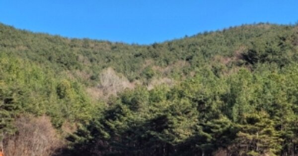 울산광역시 울주군 상북면 궁근정리 OO 답 경매 물건 이미지