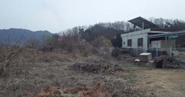 경상남도 밀양시 부북면 대항리 OOO 대지 경매 물건 이미지