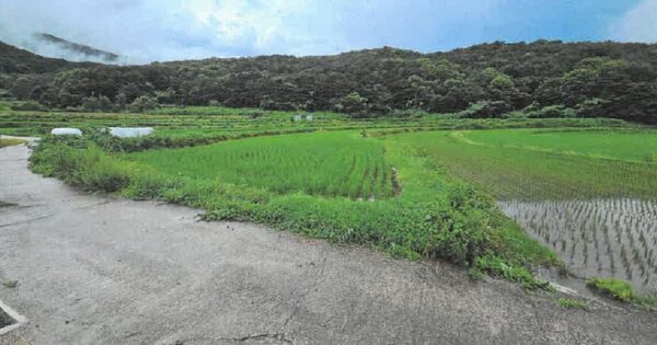 울산광역시 울주군 삼남읍 방기리 OOO 전 경매 물건 이미지