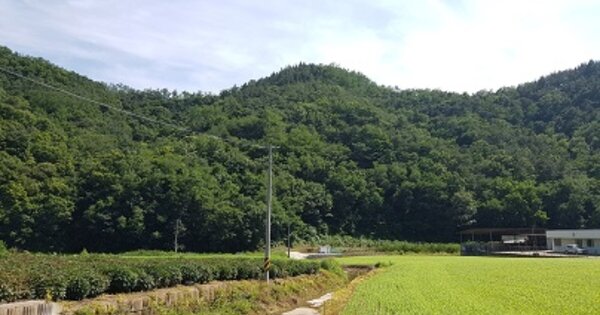 경상북도 의성군 의성읍 상리리 OOOOOO 임야 경매 물건 이미지