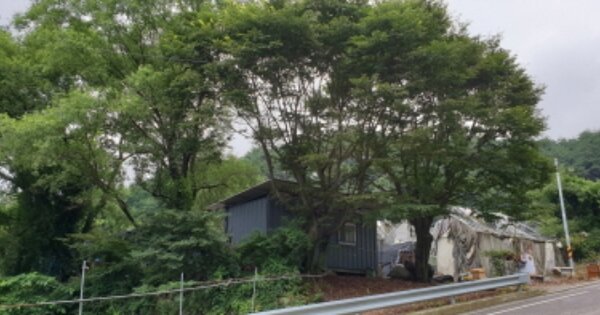 경상남도 함양군 서상면 상남리 OOOO O OOO 전 경매 물건 이미지