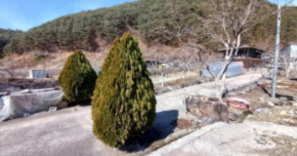 경상남도 산청군 시천면 사리 OOOOO O OOO 답 경매 물건 이미지