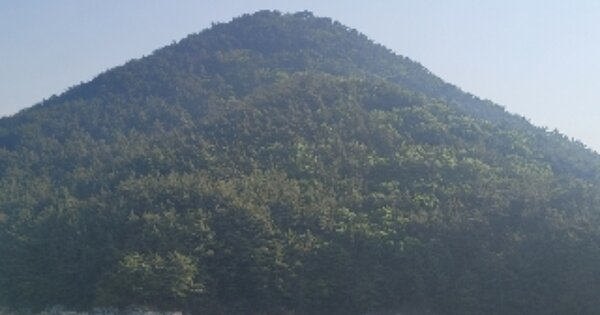 경상남도 통영시 한산면 염호리 OOOOO 임야 경매 물건 이미지
