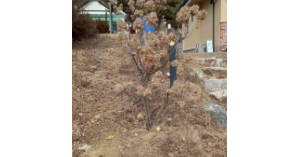 경기도 포천시 영북면 산정리 OOOOO O OOO 숙박시설 경매 물건 이미지