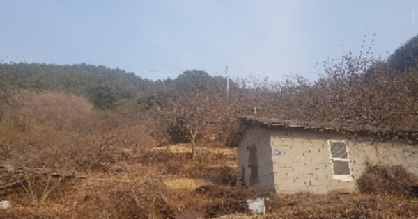 전라남도 광양시 진상면 지원리 OOO 임야 경매 물건 이미지