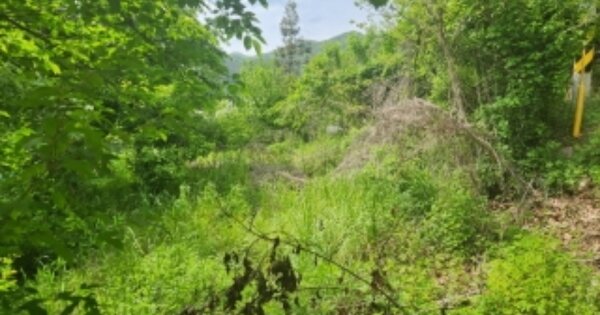 경상북도 경주시 산내면 감산리 OOOO 전 경매 물건 이미지