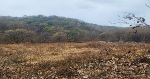 충청북도 옥천군 군북면 이백리 OOO 답 경매 물건 이미지