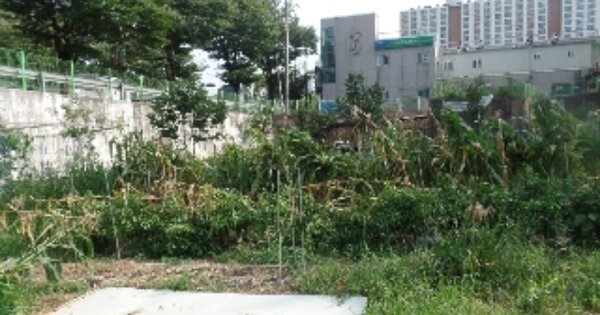 충청남도 계룡시 엄사면 엄사리 OOOOO 전 경매 물건 이미지
