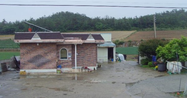 전라남도 진도군 군내면 녹진리 OOO 단독주택 경매 물건 이미지