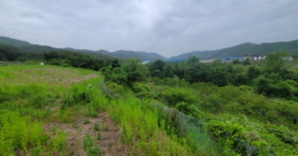 경상북도 포항시 북구 죽장면 상옥리 OOOOO O OOO 전 경매 물건 이미지