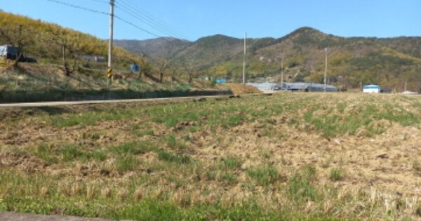 경상남도 거제시 하청면 유계리 OOO 답 경매 물건 이미지