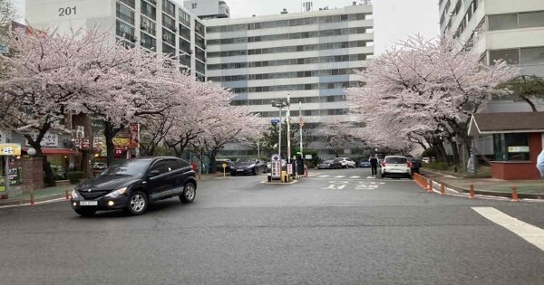 전남 영암군 삼호읍 용당리 2179-1, 210동 OOOOOOOO OOOOOOOOOOO 아파트 경매 물건 이미지