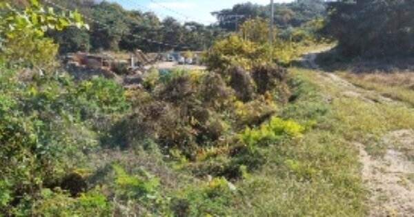 전라북도 남원시 덕과면 덕촌리 OOO 임야 경매 물건 이미지