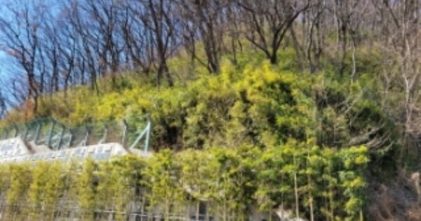 경상남도 양산시 삼호동 OOOOO O OOO 전 경매 물건 이미지
