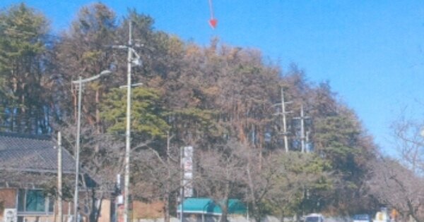 강원특별자치도 강릉시 저동 OOOO 임야 경매 물건 이미지