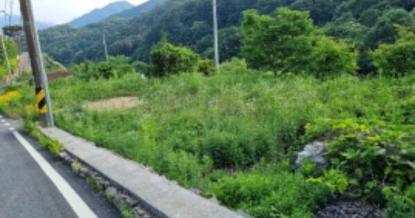 경기도 가평군 청평면 고성리 OOOOOO 전 경매 물건 이미지
