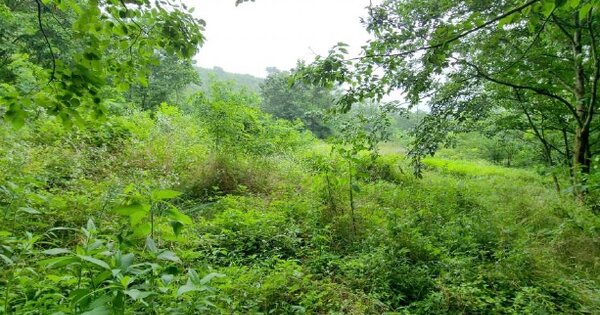 충청남도 홍성군 갈산면 상촌리 OOO 전 경매 물건 이미지