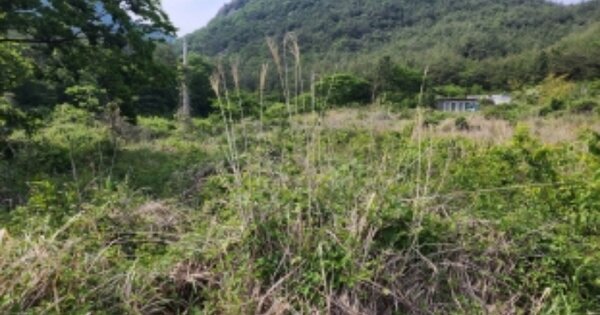 전라남도 고흥군 포두면 송산리 OOOO O OOO 답 경매 물건 이미지