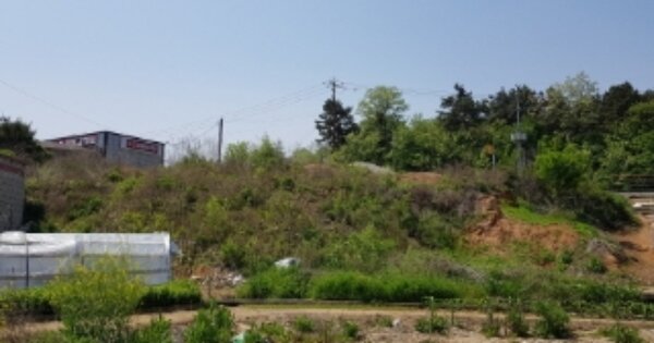충청남도 당진시 신평면 금천리 OOOOO O OOO 전 경매 물건 이미지