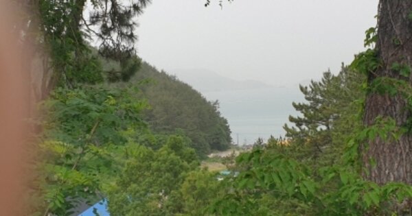 전라남도 여수시 돌산읍 군내리 OOOOOO 임야 경매 물건 이미지