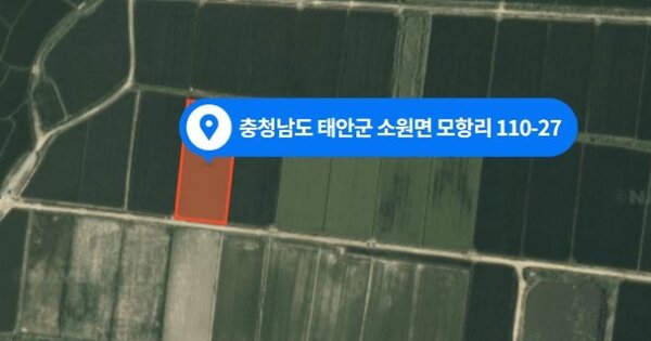 충청남도 태안군 소원면 모항리 OOOOOO 잡종지 경매 물건 이미지