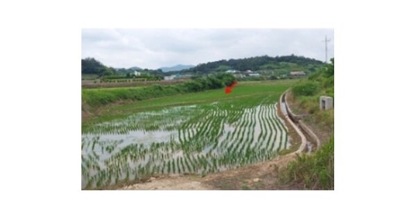 전라남도 함평군 나산면 초포리 OOOOOOO 답 경매 물건 이미지