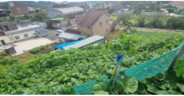 전라북도 군산시 임피면 읍내리 OOOOO O OOO 전 경매 물건 이미지