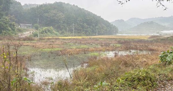 충청남도 예산군 대흥면 손지리 OO 답 경매 물건 이미지