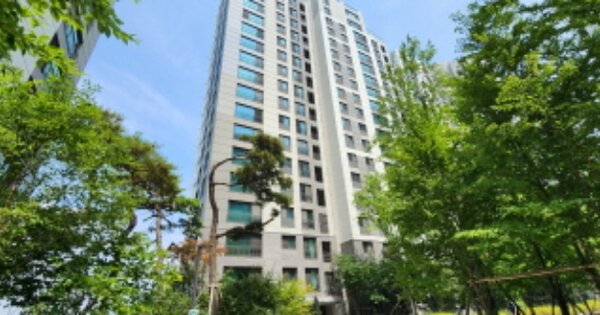 경기 김포시 고촌읍 향산리 향산지구도시개발사업구역에이1블럭2롯트, 209동 OOOOOOOO OOOOOOOOOOOOOO 아파트 경매 물건 이미지