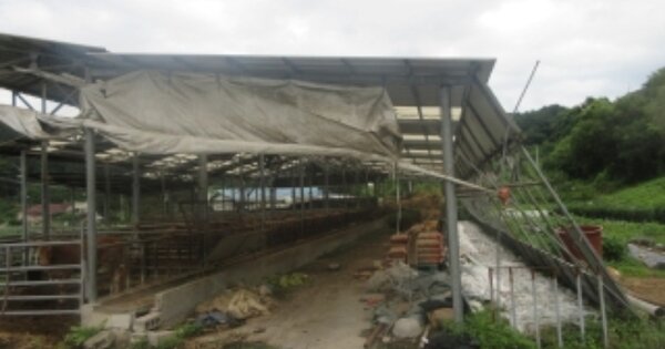 충청북도 괴산군 괴산읍 정용리 OOO O OOO 단독주택 경매 물건 이미지