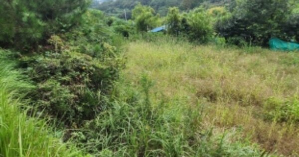 전라남도 여수시 돌산읍 우두리 OOOOO 전 경매 물건 이미지