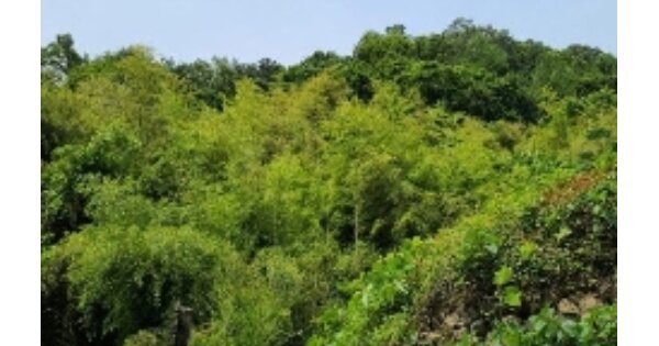 광주광역시 동구 운림동 OOO O OOO 전 경매 물건 이미지