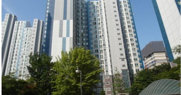 대전 중구 목동 24, 113동 OOOOOOOO OOOOOOOOOOOO O OOO 아파트 경매 물건 이미지