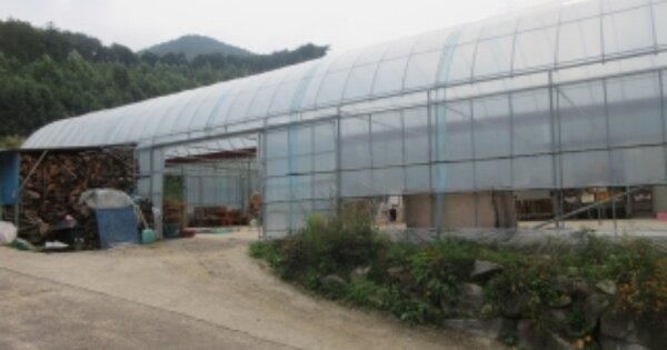 충청북도 괴산군 문광면 신기리 OOO 전 경매 물건 이미지