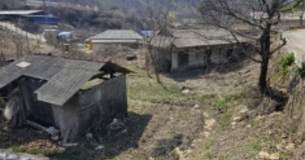충청북도 단양군 대강면 올산리 OOOOO 대지 경매 물건 이미지