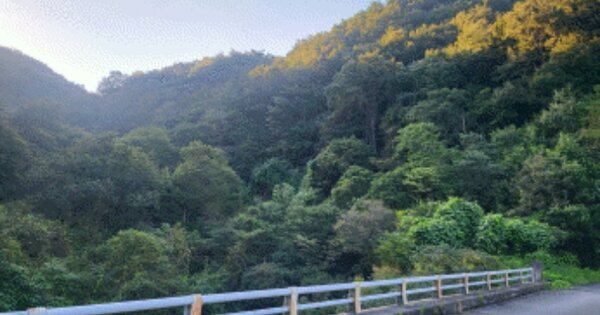 전라북도 임실군 삼계면 죽계리 OOOOO 답 경매 물건 이미지