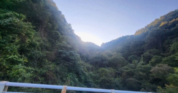 전라북도 임실군 삼계면 죽계리 OOO 답 경매 물건 이미지