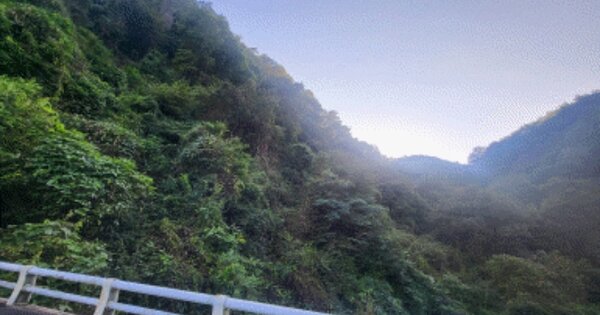 전라북도 임실군 삼계면 죽계리 OOO 답 경매 물건 이미지