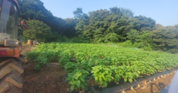 인천광역시 중구 운북동 OOOO 전 경매 물건 이미지