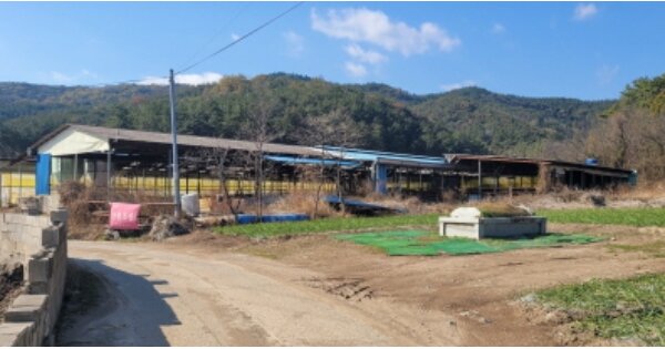 경상북도 영천시 신녕면 매양리 OOO O OOO 동물 및 식물 관련시설 경매 물건 이미지